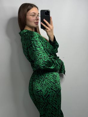 Фото Женский костюм Шелк Армани Брюки + Рубашка Зебра Зелень