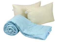 Фото Набор - силиконовое одеяло + подушки Руно Голубой