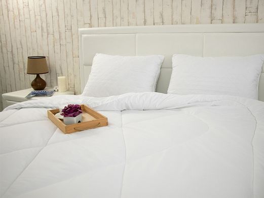 Фото Набор - зимнее силиконовое одеяло + 2 подушки Руно