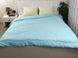 Фото №3 из 5 товара Набор - силиконовое одеяло + подушки Руно Голубой