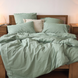 Фото №1 из 4 товара Комплект постельного белья Viluta Вареный Хлопок Tiare Wash 34 Зелёный
