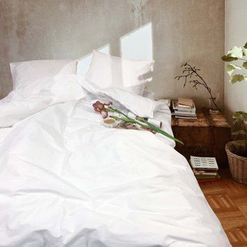 Фото Комплект постільної білизни Viluta Ранфорс Однотонний Білий 2000000001173