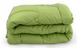 Фото №2 из 9 товара Всесезонное силиконовое одеяло Руно Зеленая