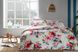 Фото №1 из 4 товара Комплект постельного белья TAC 100% Хлопок Сатин Delux Luton Pembe Розовый v01