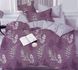 Фото №2 из 3 товара Комплект постельного белья Гербарий Фиолетовый Selena Ранфорс 200253